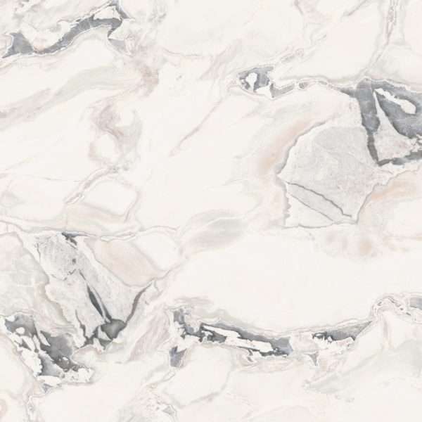 Oyster Bianco