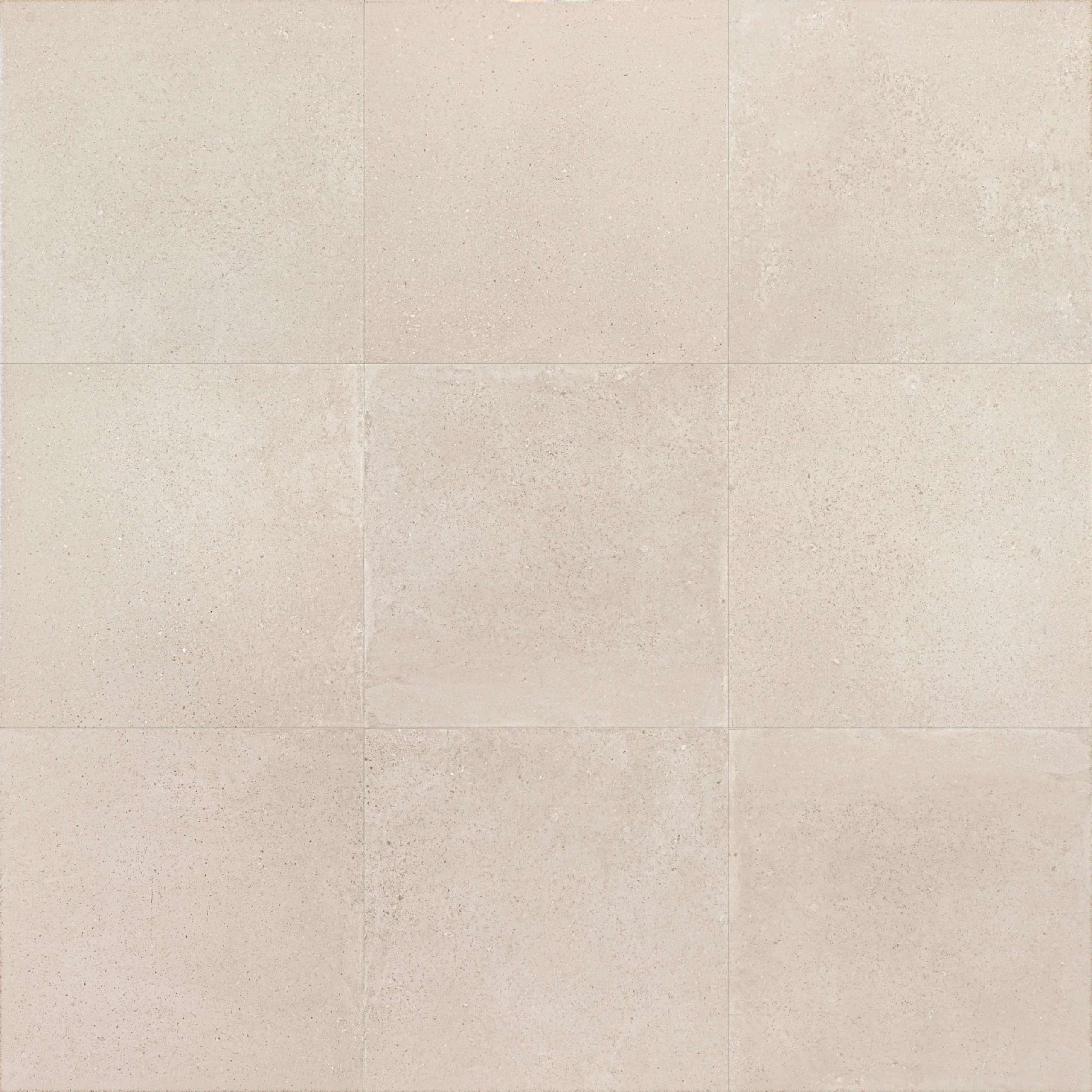 Ivory - Image 4